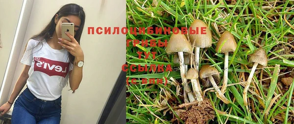 сатива Абаза