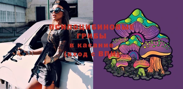 сатива Абаза