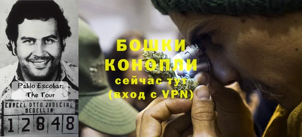сатива Абаза