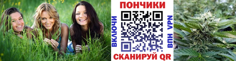 Шишки марихуана SATIVA & INDICA  даркнет сайт  Александровск-Сахалинский 
